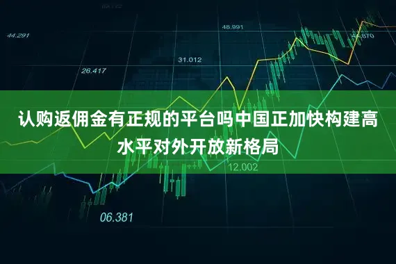 认购返佣金有正规的平台吗中国正加快构建高水平对外开放新格局